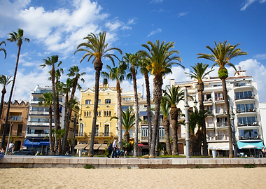 Beachfront buildings with palm trees