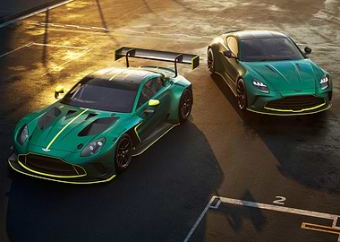 Aston Martin GT Cars on Track
