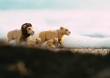 Lego Lion Family on Beach