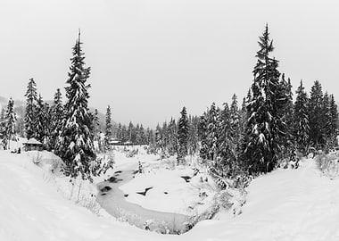 Snowy Forest Town with a Frozen Stream