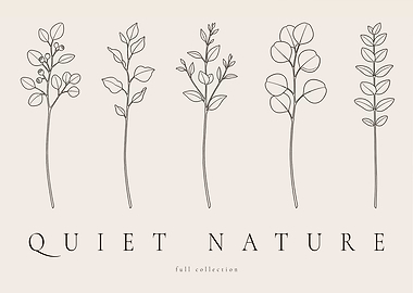 Eucalyptus Botanical Study – Full Minimalist Collection