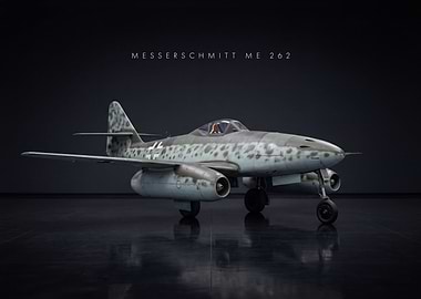 Messerschmitt Me 209 Aircraft