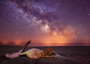 Dead Garnet under the Milky Way