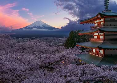 Sunset Mount Fuji with Pagoda and Cherry Blossoms