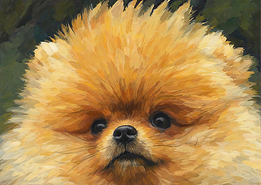 Pomeranian Dog Portrait Painting