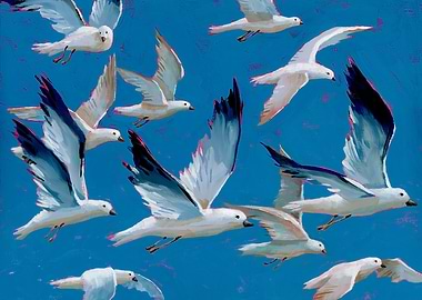 Seagulls in Flight