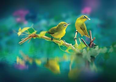 Two yellow birds on a branch