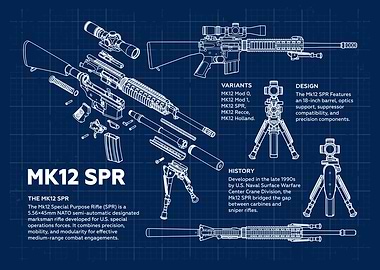 MK12 SPR Blueprint Weapon