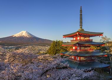 Mount Fuji and Chureito Pagoda with Cherry Blossoms