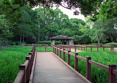 Fukuoka park scene