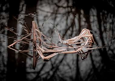 Dry Reeds Reflected in Water
