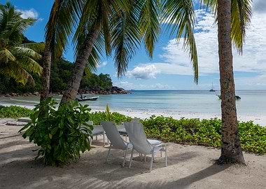 Tropical Beach Chairs with Ocean View