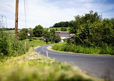 Winding Road Through a Rural Landscape