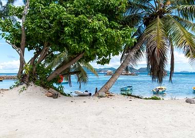 Tropical Beach with Palm Trees and Boats