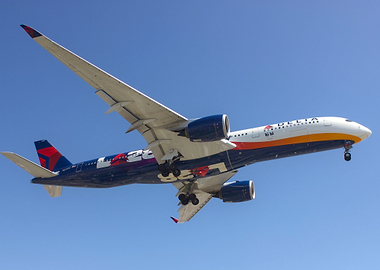 Delta Airlines Plane Landing
