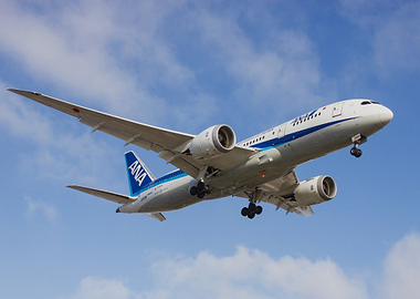 ANA Boeing 787 Landing