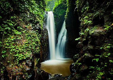 Lush Waterfall in a Tropical Forest