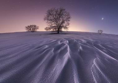 Winter Night Landscape with Crescent Moon