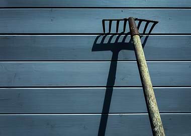 Old Rake Leaning Against Wooden Wall
