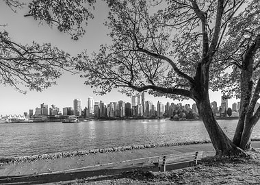Autumn Idyll and Vancouver Skyline