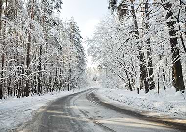 Snowy Forest Road