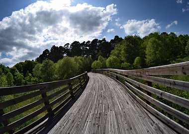 Winding Wooden bridge through a forest