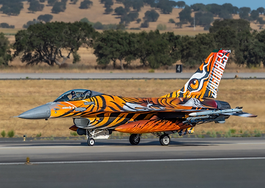 Tiger on the Runway — Portuguese Air Force F-16 'Jaguares'