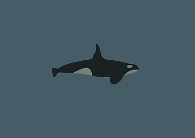 Oceanic Minimalism Orca Whale Navy Blue Art