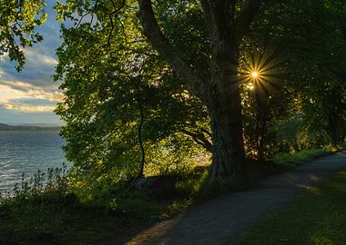 Where Light Finds Its Way