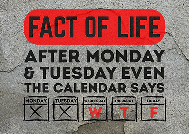 WTF Fact of Life Calendar Humor