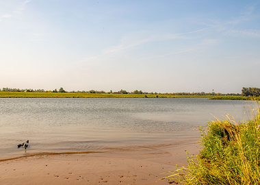 Peaceful River Landscape with Sandy Shore