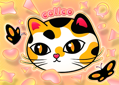 Cute Calico Cat