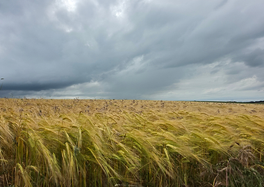 Before the Storm