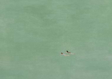 The Swimmers