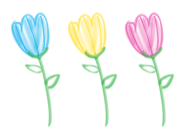Three Colorful Tulips