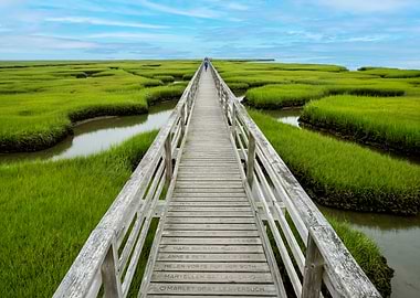 Cape Cod wooden boardwalk through a salt marsh