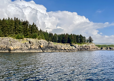 Rocky Coastline and Evergreen Forest at Loch Lomond