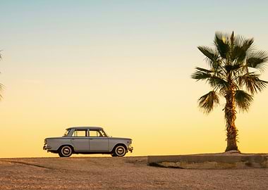 Vintage Car and Palm Tree at Sunset