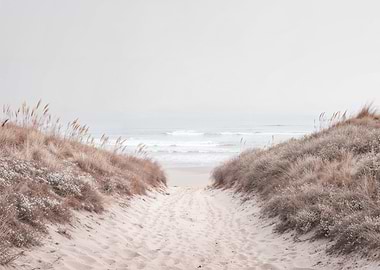 Sandy path to the ocean