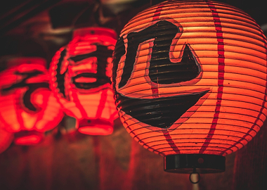 Japanese Lanterns with Kanji