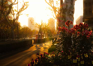 Golden Hour City Street Scene