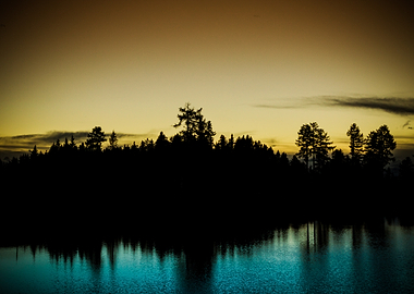 Silhouette Forest at Sunset Over Water