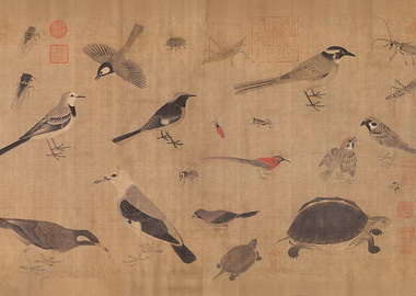 Sketch of Rare Birds