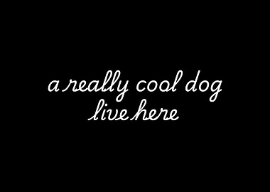 A Really Cool Dog Live Here