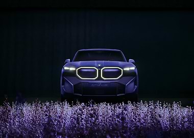BMW XM in a field of flowers