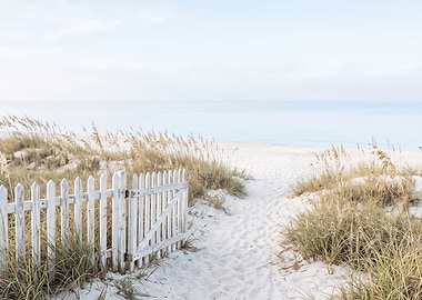 White Picket Fence Beach Path