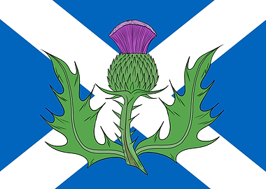 Scottish Flag with Thistle Emblem