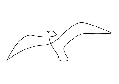 Seagull - Minimalist Single Line Drawing