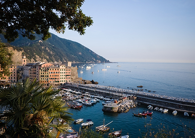 Scenic Coastal Harbor in Italy