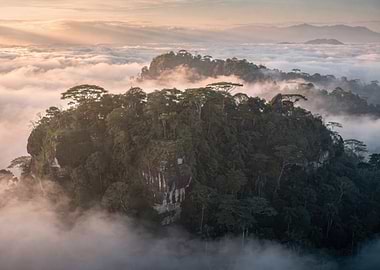Misty Tropical Rainforest Mountain Peaks